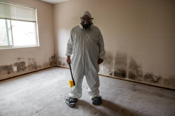 Water Damage Restoration in Aurora, SD